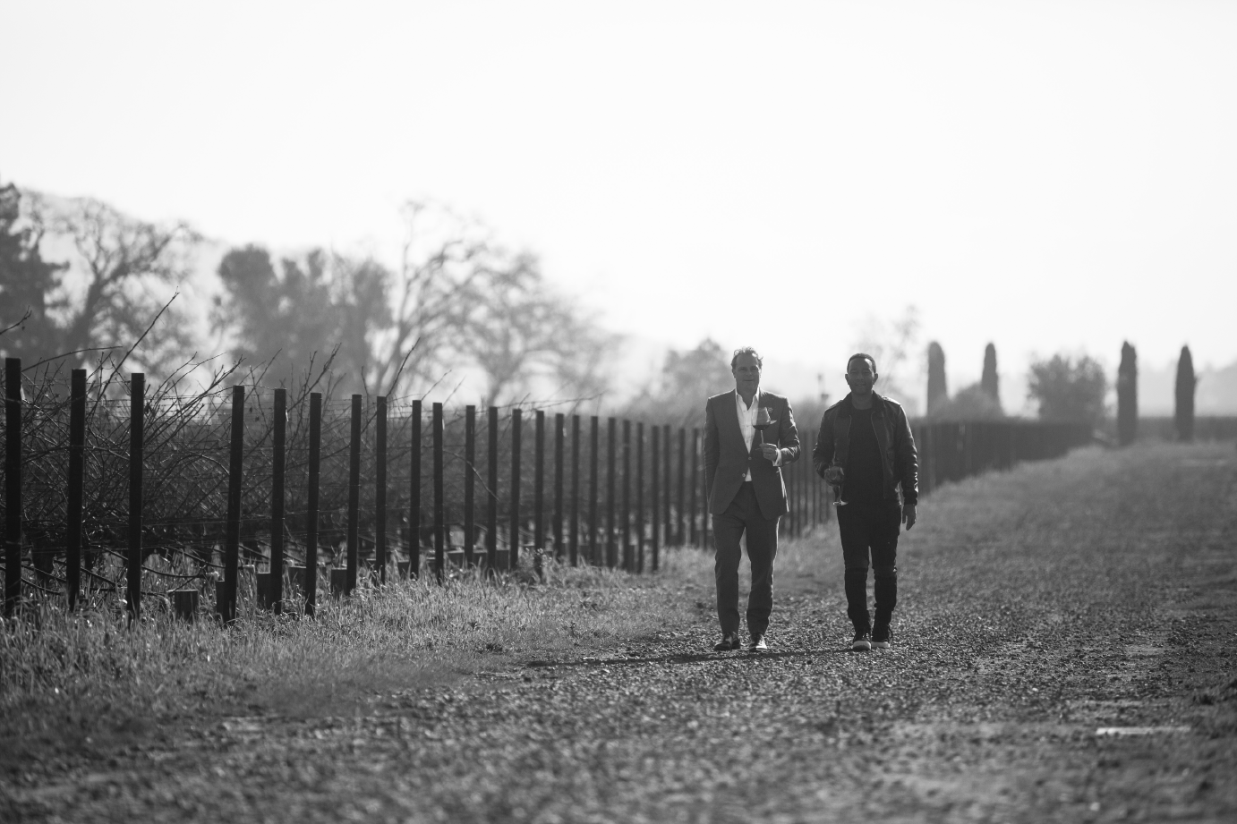John Legend and Jean-Charles Boisset Walking in the Vineyards